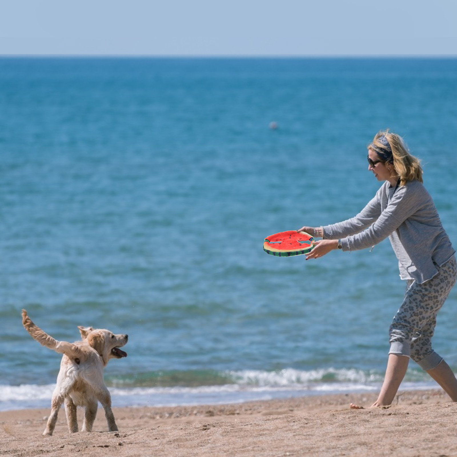 Flying Disc Dog Training Toy - ペット用、水melon（スイカ）を模したフライングディスク。犬用、ビーチで遊べる、軽量で持ち運び可能な、屋外でのトレーニングに最適な浮遊式ディスク。