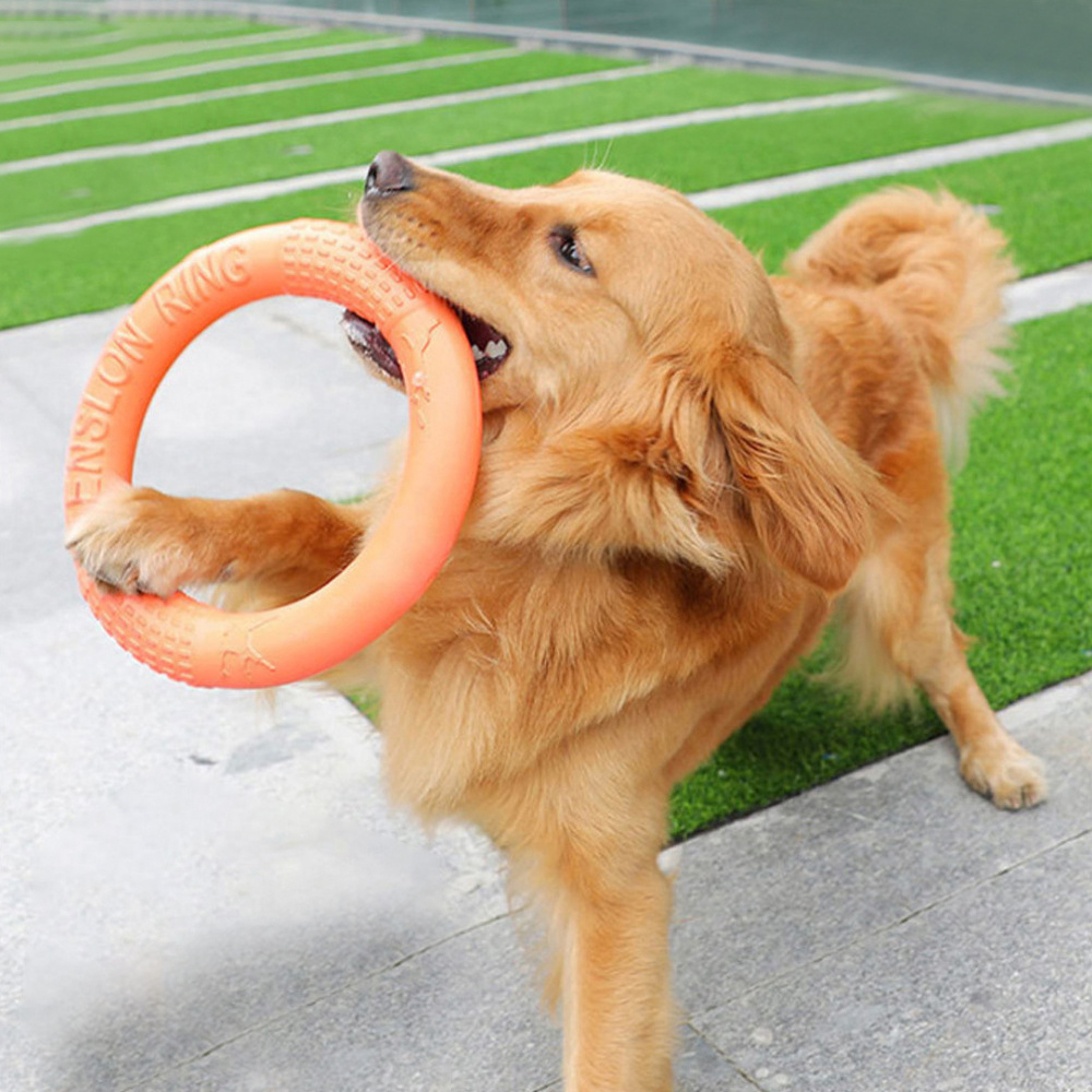 オレンジ色の犬のおもちゃペットフライングディスクトレーニング - Flying Disc Dog Training Toy のレビューと価格