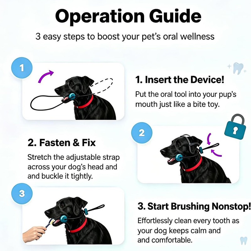 耐久性のある犬用ロープハンドル付き噛むおもちゃ、ゴム製骨型お - Teeth Cleaning Dog Chew Bone のレビューと価格