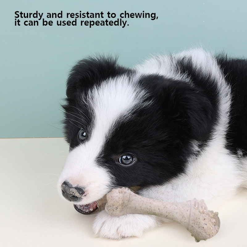 12cmのペット用おもちゃ。犬の歯のケアに。歯を研磨するため - Teeth Cleaning Dog Chew Bone のレビューと価格