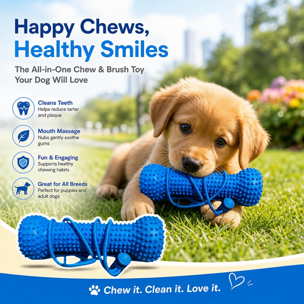 犬用歯磨きおもちゃ、耐噛み性、再利用可能なプルストラップ付き - Teeth Cleaning Dog Chew Bone のレビューと価格