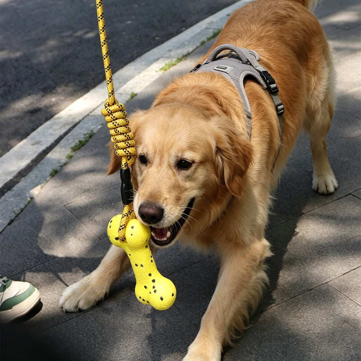 丈夫な犬用ロープおもちゃ、ETPU製、骨型、耐久性に優れ、歯 - Dog Rope Toy Aggressive Chewers のレビューと価格