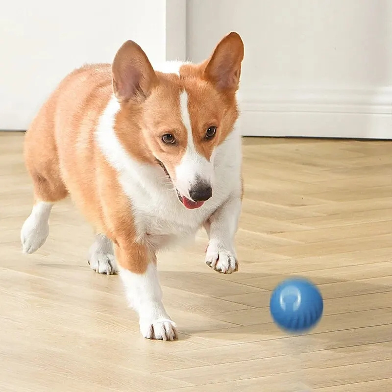 USB充電式自動跳ねるペットボール、犬猫子犬用インタラクティ - Automatic Moving Dog Ball のレビューと価格