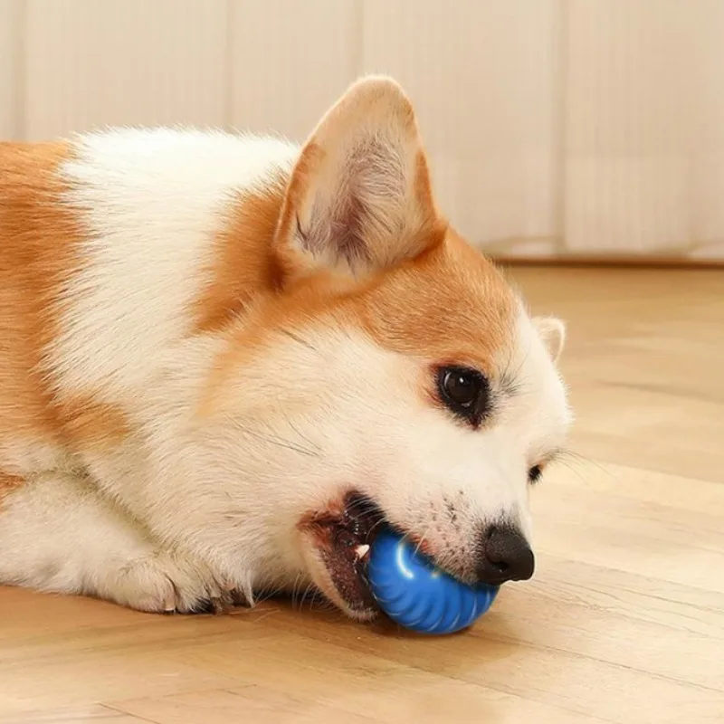 SS ペット用おもちゃボール。自動で動き、犬が跳ねて回転する - Automatic Moving Dog Ball のレビューと価格