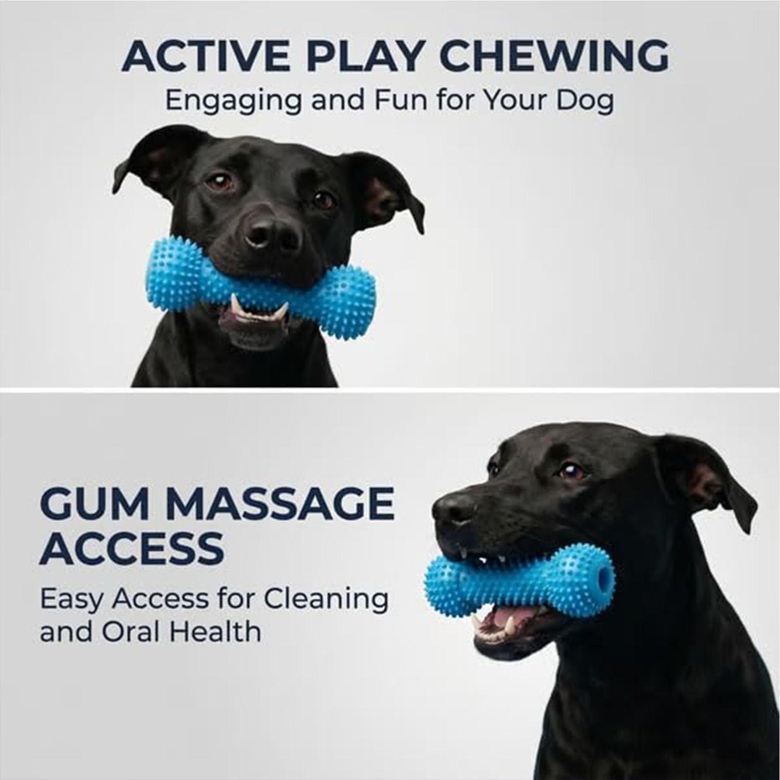 犬用歯磨きおもちゃ、噛むおもちゃ、口を開けるおもちゃ、ペット - Rubber Treat Dispensing Dog Toy のレビューと価格