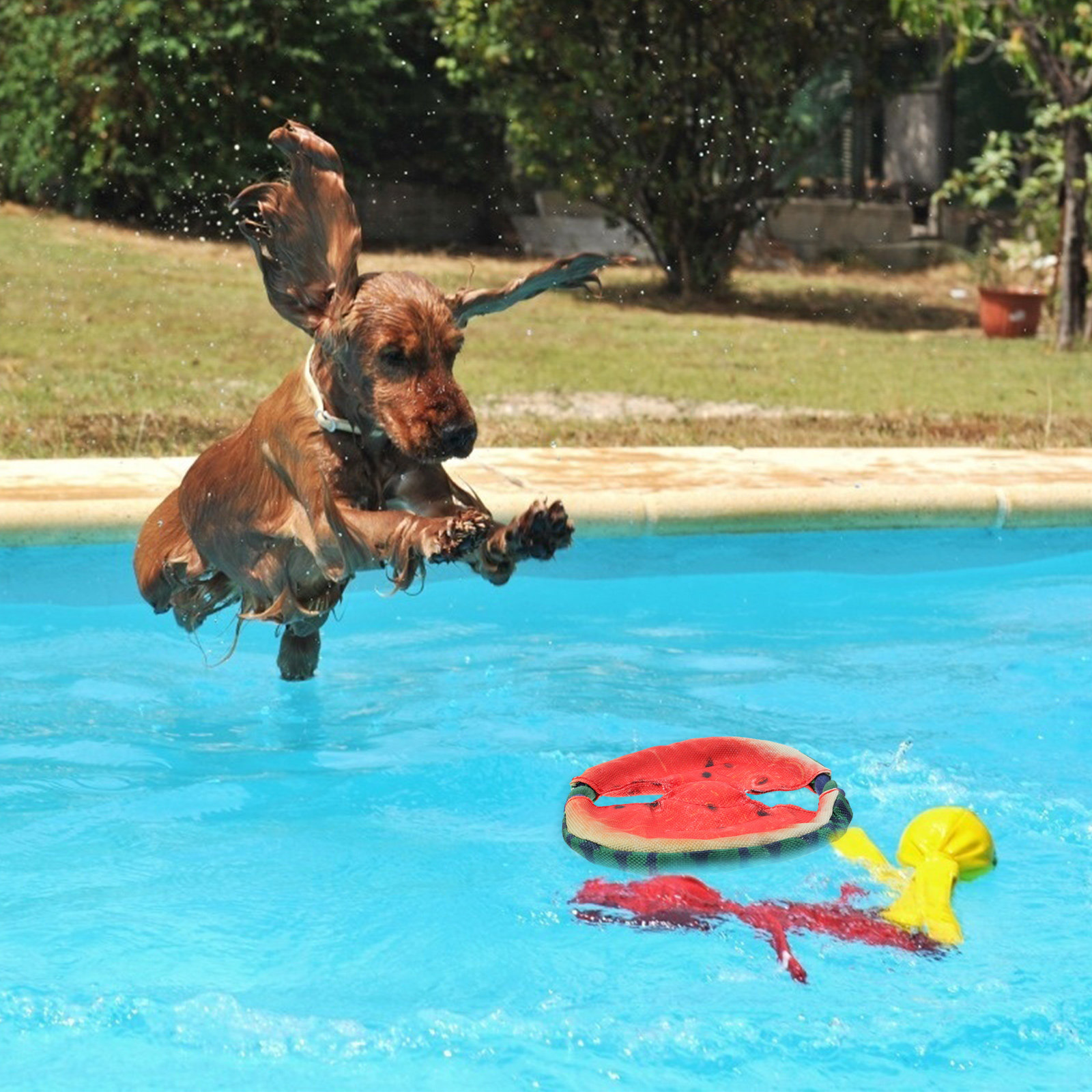 ペット用、水melon（スイカ）を模したフライングディスク。 - Flying Disc Dog Training Toy のレビューと価格