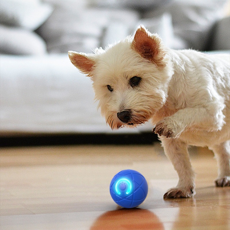 スマート犬のおもちゃボール USB 自動移動バウンスボール犬 - Automatic Moving Dog Ball のレビューと価格