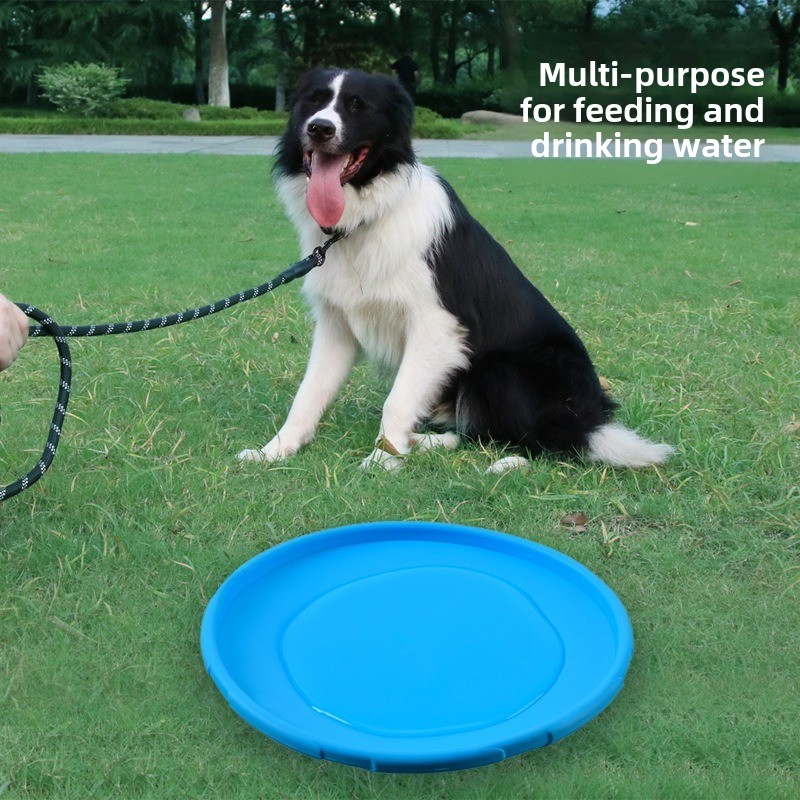 マルチカラーフリスビー犬のおもちゃ 22 センチメートルシリ - Flying Disc Dog Training Toy のレビューと価格