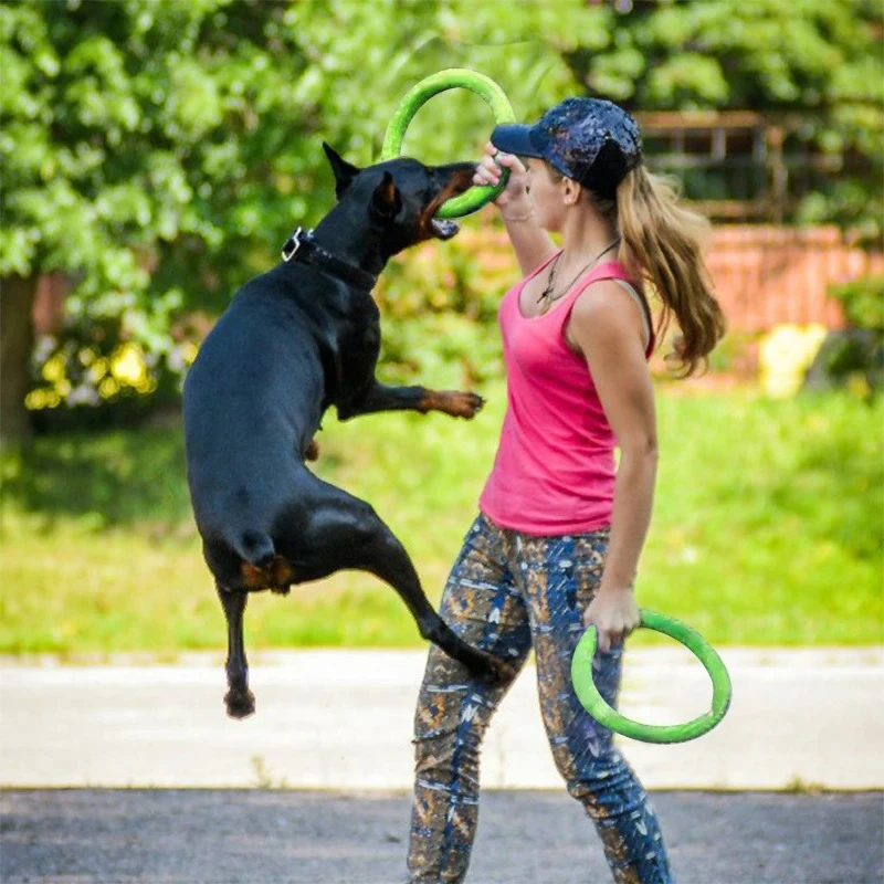 飛んでいるディスクバドッグトレーニングリング,犬のための耐摩 - Flying Disc Dog Training Toy のレビューと価格