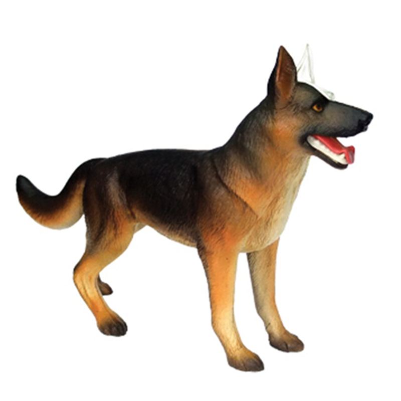 動物器官解剖模型 4D 犬知能組み立て玩具教育解剖模型 DI - Dog Toys のレビューと価格