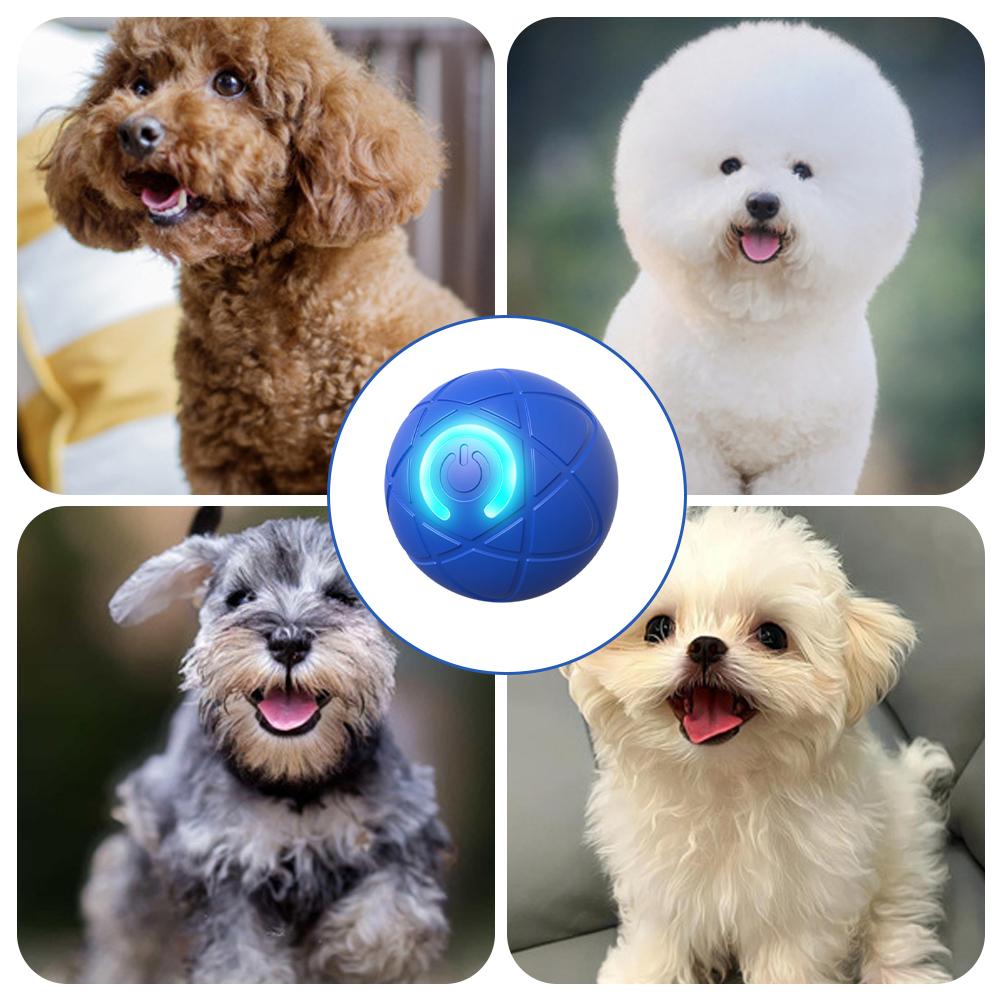 電子インタラクティブペットおもちゃ スマートドッグトイボール - Automatic Moving Dog Ball のレビューと価格