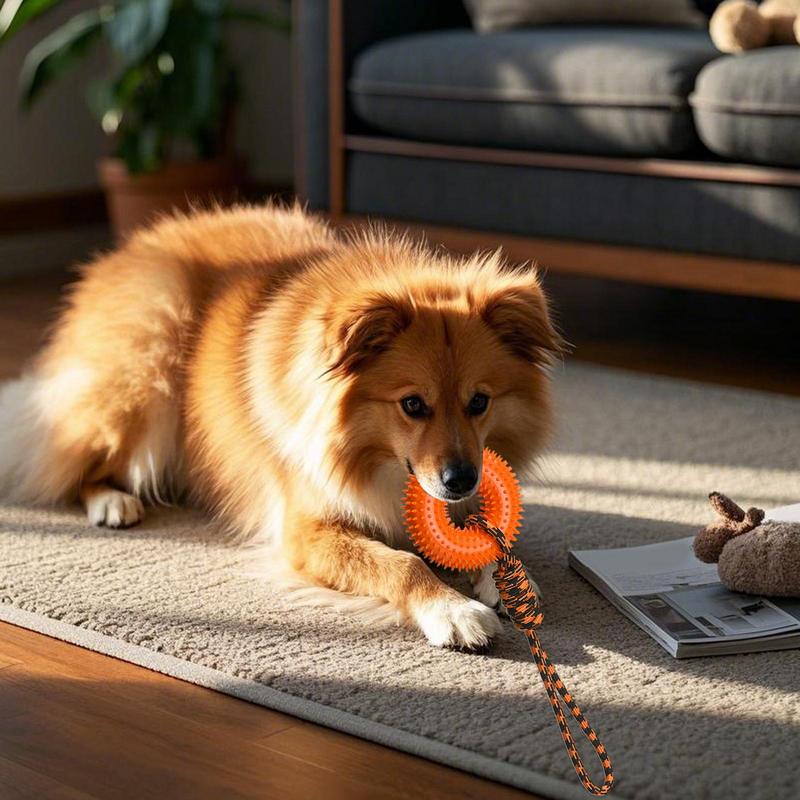 犬のためのきしむおもちゃスパイキーリング咀嚼用積極的な咀嚼不 - Dog Rope Toy Aggressive Chewers のレビューと価格