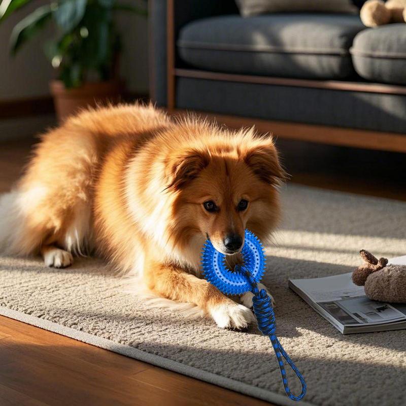 犬のためのきしむおもちゃスパイキーリング咀嚼用積極的な咀嚼不 - Dog Rope Toy Aggressive Chewers のレビューと価格