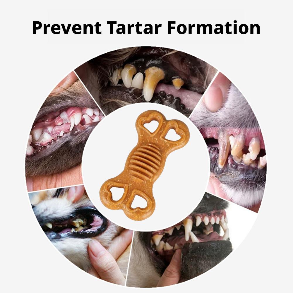 壊れにくい犬用噛むおもちゃ、骨型、噛む力が強い犬向け、歯のク - Teeth Cleaning Dog Chew Bone のレビューと価格