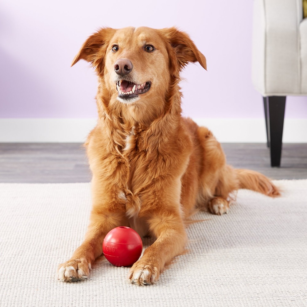 香港のボール犬のおもちゃm/l - Indestructible Dog Chew Toy のレビューと価格